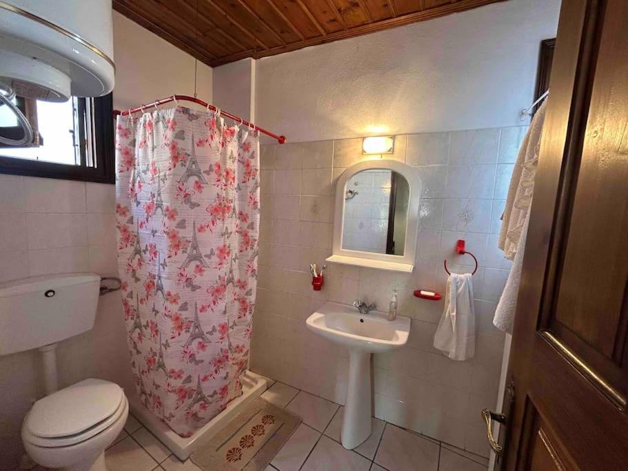 Villa Little Graceland Afissos