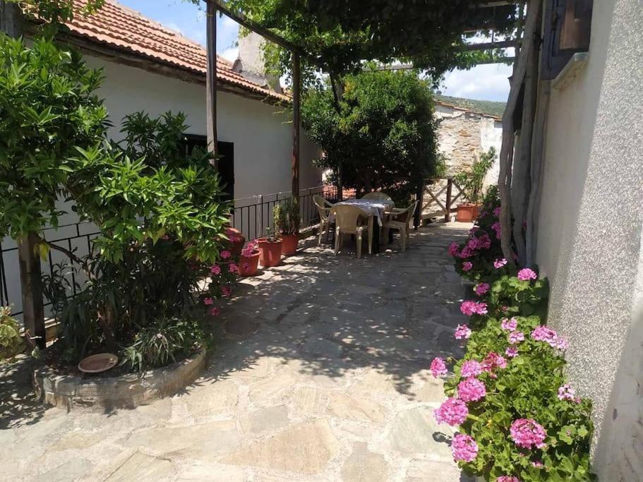 Little Graceland * Afissos